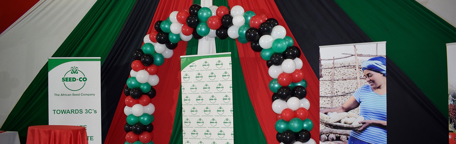 Seed Co balloon Gallard
