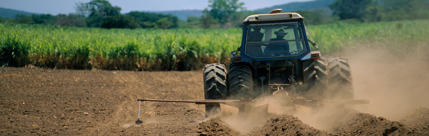 Tractor in Field