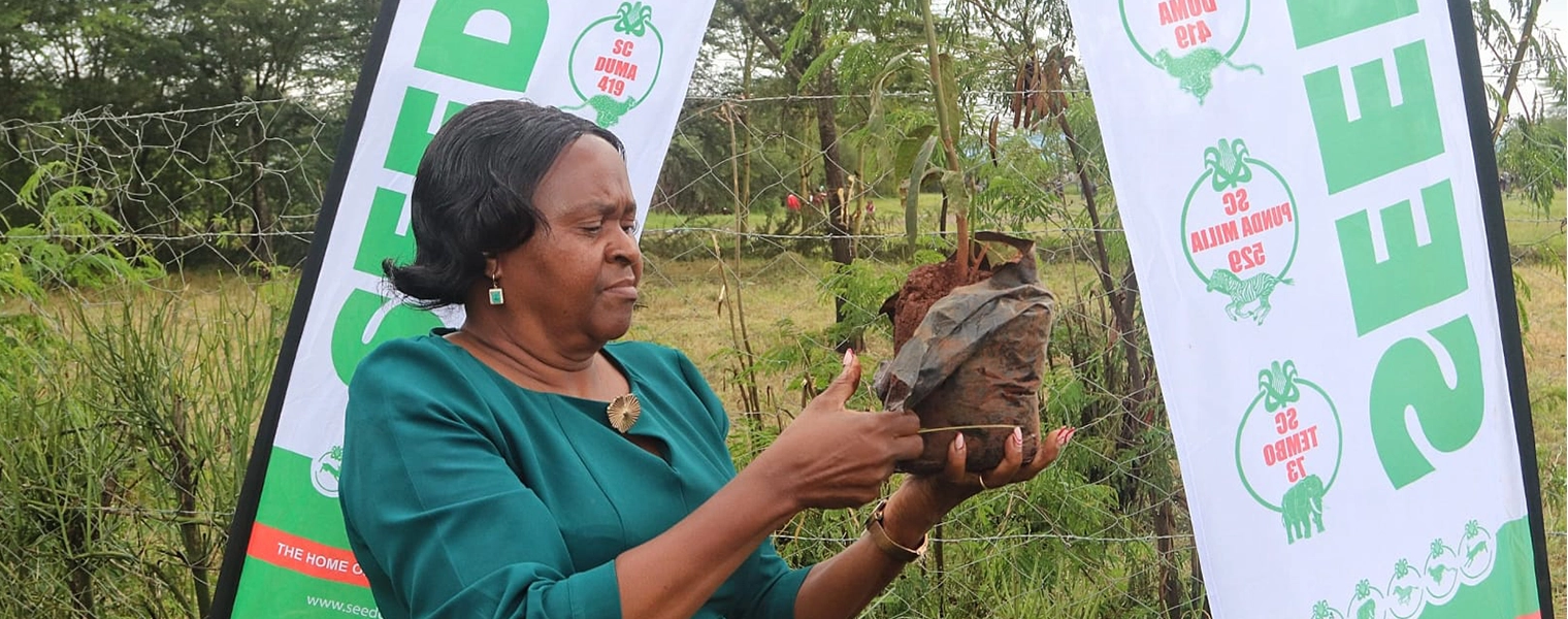 treeplanting-banner