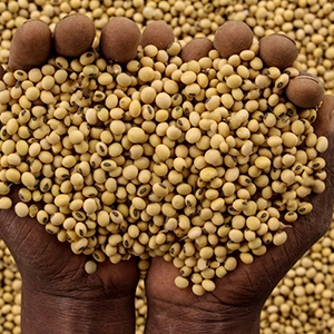 Farmers hub pop up image